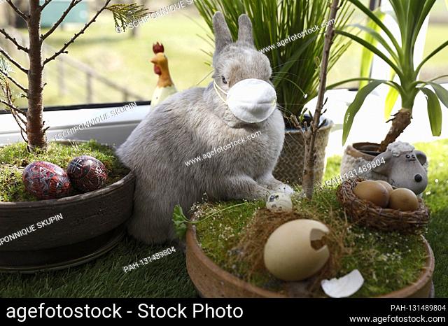 Rabbit Horst is preparing for Easter during the corona crisis. Eldagsen, April 5th, 2020 | usage worldwide. - Eldagsen/Niedersachsen/Deutschland