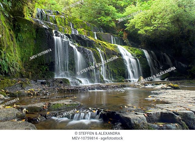 Purakaunui Falls - beautiful waterfall within dense temperate rainforest