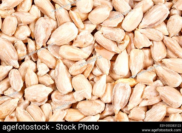 White peeled sunflower seeds, closeup detail from above