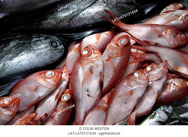 There is a large market in Funchal where local fishermen sell their fresh catch of the day. The tuna is the most sought after fish at the market