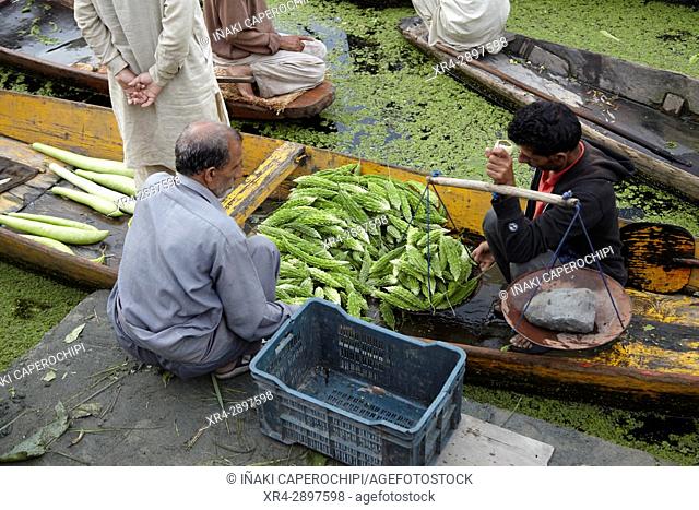 Dal Lake Floating market, Srinagar, Jammu and Kasmir, India