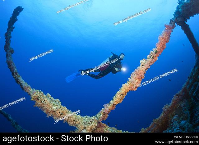 Scuba Diver at Numidia Wreck, Brother Islands, Red Sea, Egypt