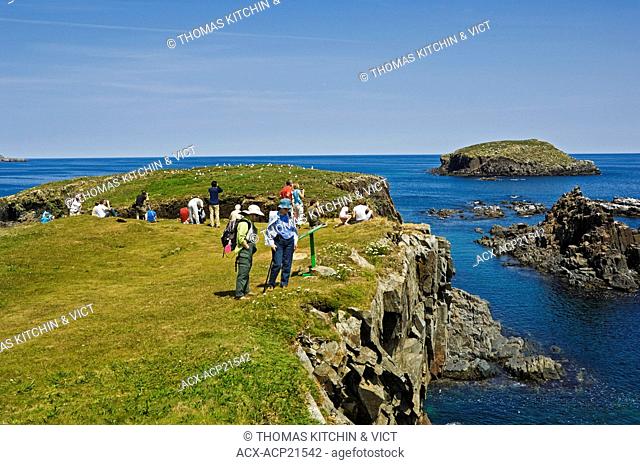 Tourists visit a wildlife viewing site along the Atlantic Ocean during the annual Bird Island Puffin Festival in the town of Elliston on the Bonavista Peninsula...