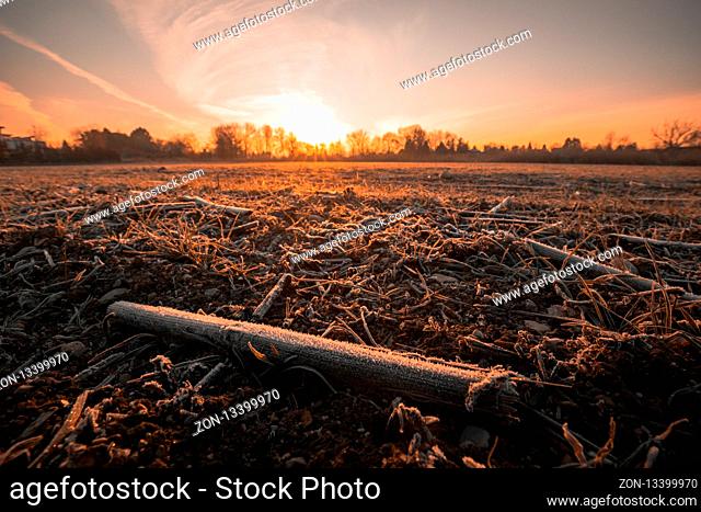 Winter sunrise landscape in the forest with a frozen field in the foreground in lower austria
