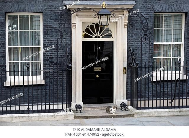 Larry the cat at 10 Downing Street. London, UK. 09/06/2017 | usage worldwide. - London/United Kingdom of Great Britain and Northern Ireland