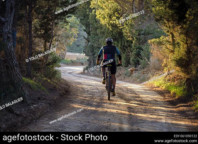 mountain biker on the greenway Sant Francesc-La Mola, Formentera, Pitiusas Islands, Balearic Community, Spain