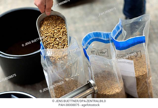 Feedingstuff inspector Andre Szymanski of the state office for agriculture, food safety and fishing fills barley into official bags during a control at a fodder...