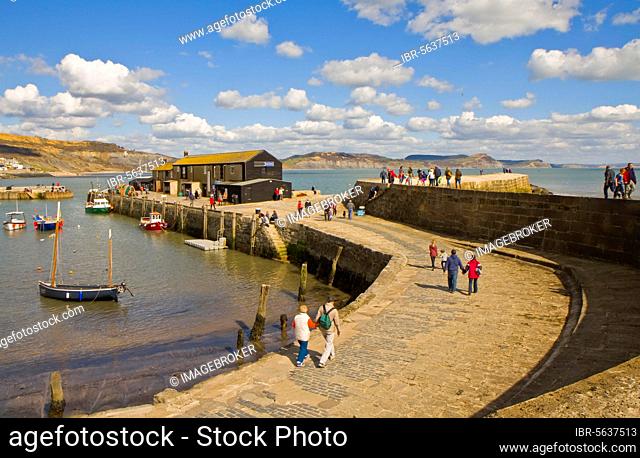View of small coastal harbour, seawall with people and moored boats, The Cobb, Lyme Regis, Dorset, England, United Kingdom, Europe