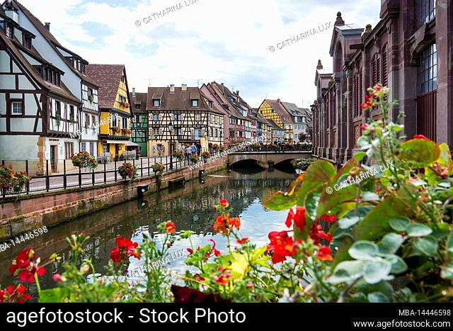 France, Alsace, Colmar, Old Town, Little Venice, leek, right Old Market Hall, flower decoration