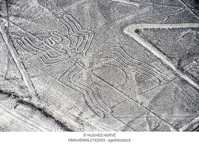 Peru, Ica Region, Nazca Desert, the Nazca Lines (5th-7th century), listed as World Heritage site by UNESCO, the geoglyphs are large figures drawn on the ground