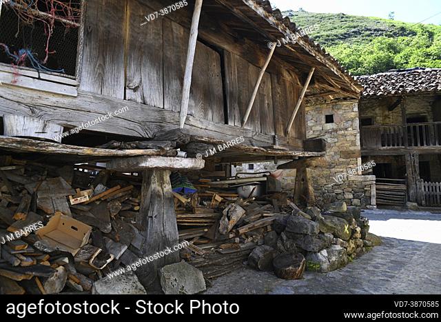 Soto de Agues, traditional granery (horreo). Redes Natural Park, Asturias, Spain