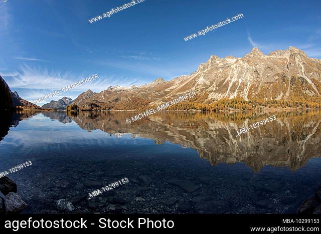 Switzerland, Graubünden, Engadin, Oberengadin, Sils, Silser See, mountains and autumn forest are reflected in the lake