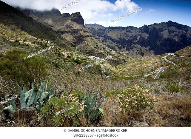 Masca and mountain road, Teno Mountains, Tenerife, Canary Islands, Spain, Europe
