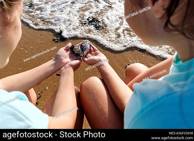Twin sisters holding seashells near shore at beach