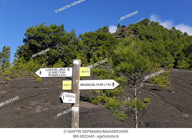 Signposts for Hikers, Llano de Jable near El Paso, La Palma, Canary Islands, Spain