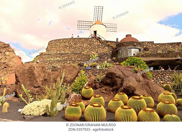 Spain Lanzarote Guatiza Cactus Garden Golden Barrel Cactus