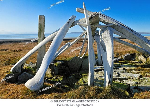 historic Inuit house from the Thule Culture made out of whale bones, Resolute Bay, Cornwallis Island, Northwest Passage, Nunavut, Canada, Arctic