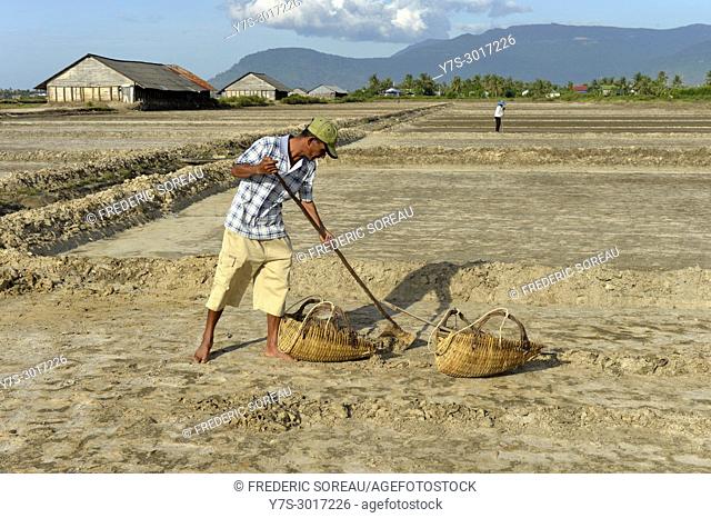 Worker in salt production, salina, Kampot, Cambodia, South East Asia, Asia