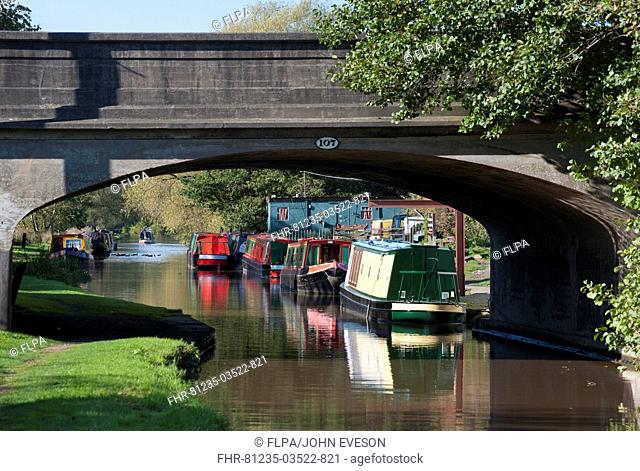 Narrowboats on moored on canal bank, Canal Bridge 107, Shropshire Union Canal, Beeston, Tarporley, Cheshire, England, october