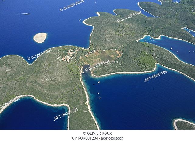 VINEYARDS ON THE ISLAND OF HVAR (KVAR). GRAPEVINES TUMBLING DOWN TO THE SEA, CROATIA