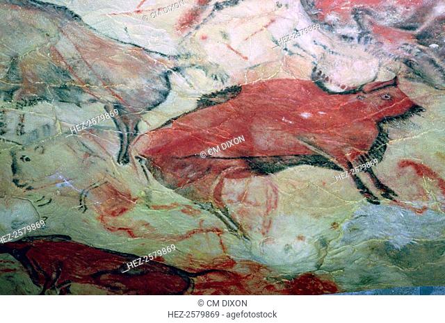 A paleolithic cave painting of Aurochs from Altamira, Spain