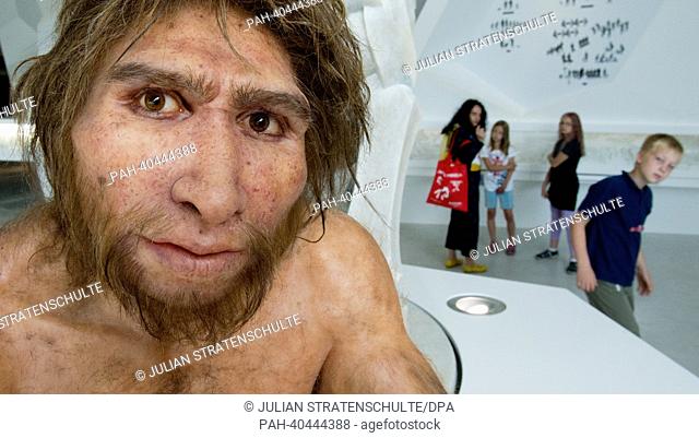 A model of a 300, 000 year old proto-hominid is on display at the Exhibit and Research Centre Palaeon in Schoeningen, Germany, 24 June 2013