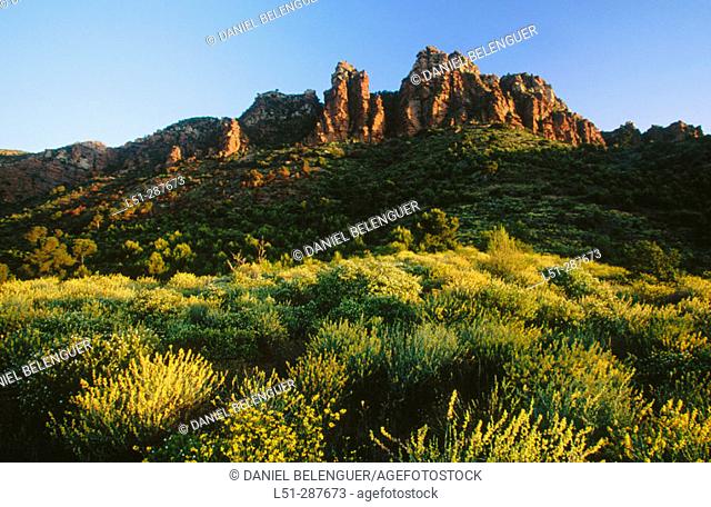 Siliceous rock formations. Serra Calderona Natural Park. Valencia province, Spain