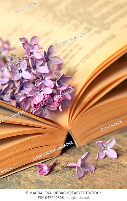 Lilac flowers with open old book
