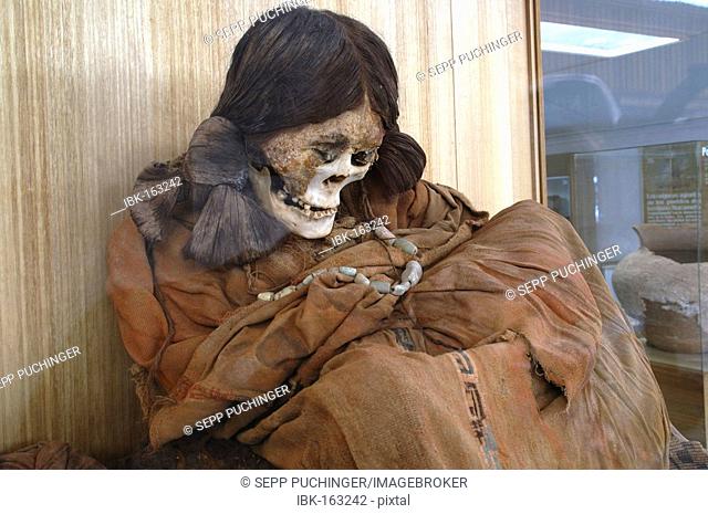 Dressed skeleton in the museum from San Pedro de Atacama Chile