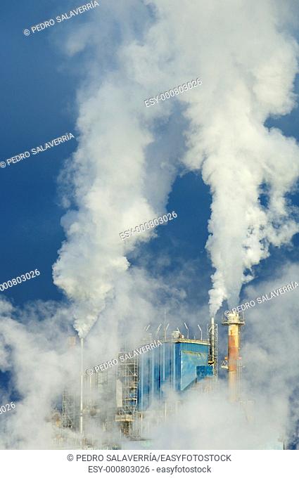 smoke produced by the smokestacks of a paper mill in Montanana, Saragossa, Aragon, Spain