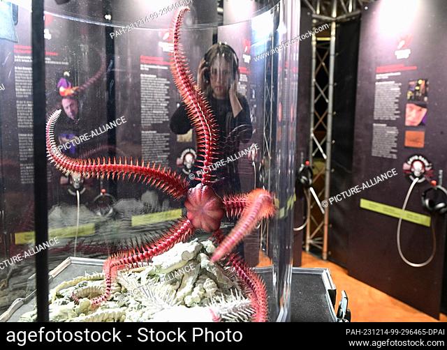14 December 2023, Baden-Württemberg, Stuttgart: A visitor to the special exhibition entitled ""Rock Fossils feat. The Rolling Stoneflies"" listens to rock music...