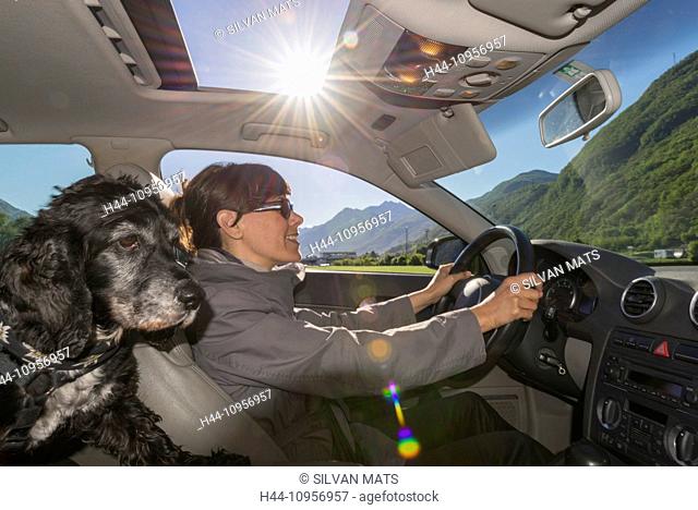 Woman driving a car with her dog in ticino Switzerland, Europe