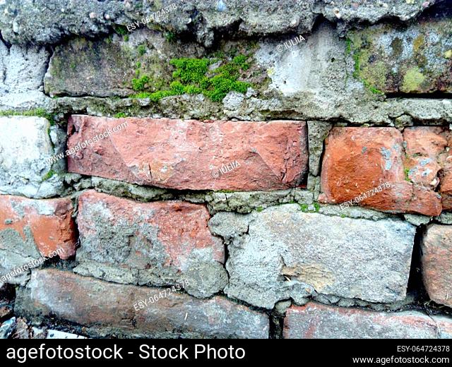 Brick wall. Ceramic masonry or fence. Old, uneven brick, covered in some places with moss and mold. The texture of the stone or mineral