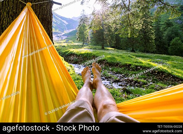 Man's legs in hammock by trees
