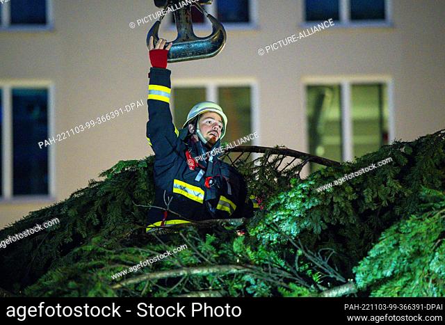 03 November 2022, Bavaria, Munich: A fireman attaches the Christmas tree, which is set up on Marienplatz, to the crane hook. Photo: Lennart Preiss/dpa