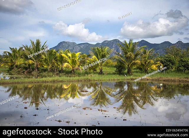the Landscape and Fields near the Village of Kui Buri at the Hat Sam Roi Yot in the Province of Prachuap Khiri Khan in Thailand, Thailand, Hua Hin, November