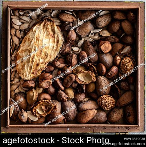 Almond shells and seeds in a box