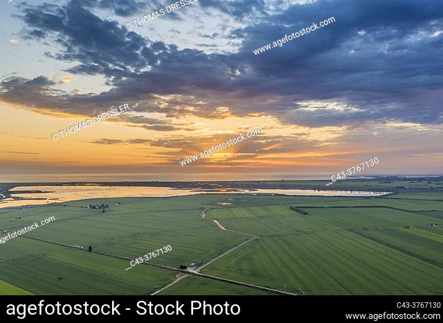 Rice fields (Oryza sativa) and lagoons at sunrise in July. Aerial view. Drone shot. Ebro Delta Nature Reserve, Tarragona province, Catalonia, Spain