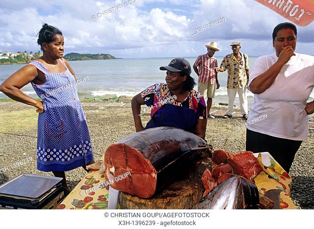 vente de poisson au retour de peche Ile de la Martinique Departement et Region d'Outremer francais Archipel des Antilles Caraibes//tuna-fish for sale Martinique...
