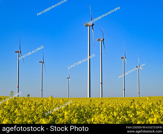 08 May 2023, Brandenburg, Jacobsdorf: Wind turbines in a blooming rapeseed field. According to the Bundesverband WindEnergie e.V