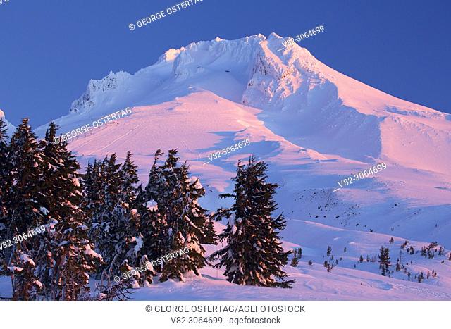 Mt Hood from Timberline, Mt Hood National Forest, Oregon