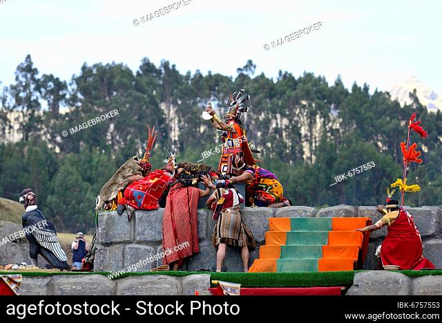 Inti Raymi, Festival of the Sun, Sacrifice of a Llama on the Altar, Inca Sacsayhuamán Ruins, Cusco, Peru, South America