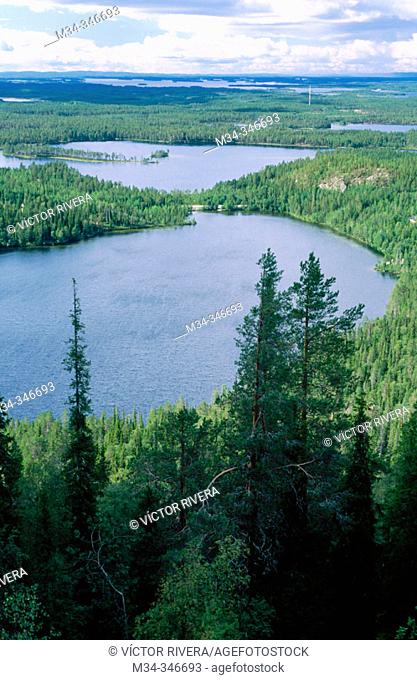 Finland seen from Ruka mountain resort. Kuusamo, Finland