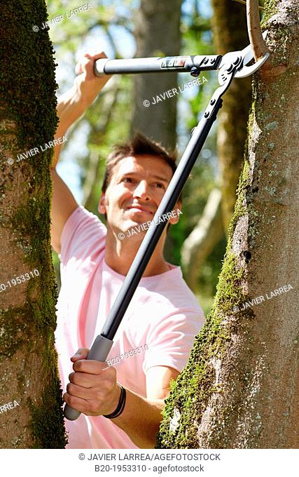 Gardener pruning tree, Pruning secateurs, Hand tool, Garden,