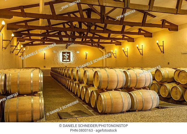 France, Gironde, AOC Pessao-Leognan vineyard, Chateau Carbonnieux (Graves Grand Cru Classe), barrel warehouse