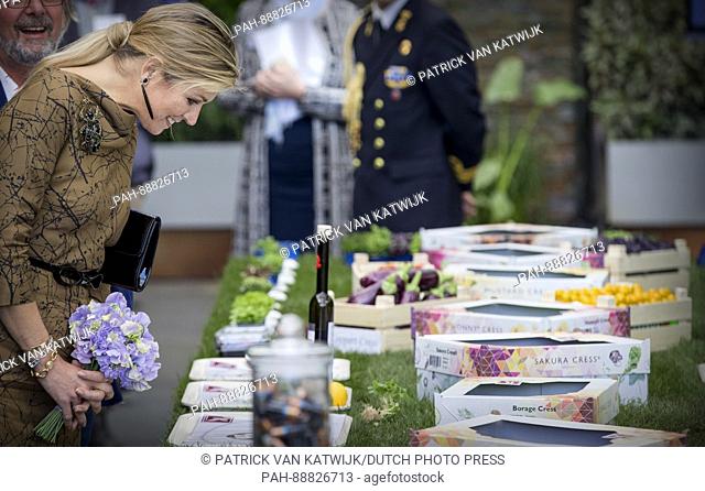 Queen Maxima of The Netherlands visits horticultural company Koppert Cress in Monster, The Netherlands, 7 March 2017. The company is specialized in a variety of...