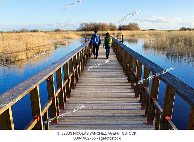 Daimiel National Park, in Ciudad Real province. Castilla-La Mancha, Spain