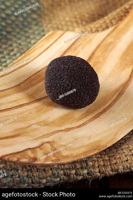 Black truffle (tuber melanosporum), Perigord truffle, Perigord truffle, Perigord truffle, Black truffle, Black truffle, Mushrooms, Perigord truffle