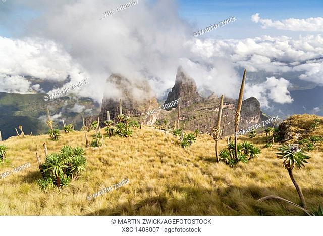 Landscape in the Simien Mountains National Park  View from peak Imet Gogo over the highlands, the escarpment and the lowlands of the National Park with the...