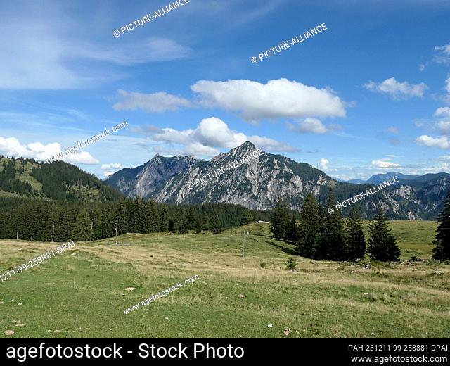 01 September 2023, Austria, Strobl: View from the Postalm to the Rinnkogel at 1822 meters in the Salzkammergut in Austria